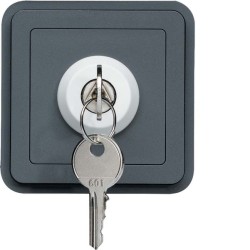 CUBYKO ΔΙΑΚΟΠΤΗΣ 3 ΘΕΣΕΩΝ ΜΕ ΚΛΕΙΔΙ ΙΡ55 ΓΚΡΙ